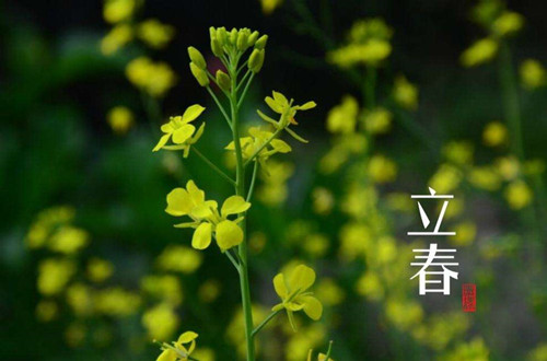<a href=https://www.xmwxkjjt.com/ target=_blank class=infotextkey>昆明白癜风医院</a>:防止白癜风卷土重来,只有春季抗复发